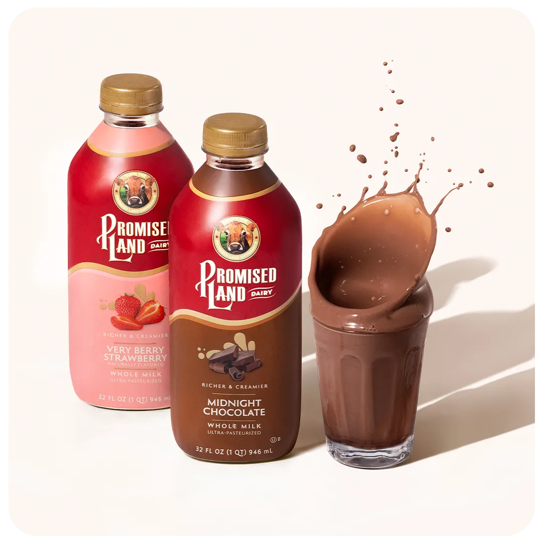 Two Promised Land Dairy bottles on cream — “Very Berry Strawberry, naturally flavored, whole milk, ultra-pasteurized, 32 FL OZ (1 QT) 946 mL” and “Midnight Chocolate, richer & creamier, whole milk” — beside a glass of chocolate milk mid-splash
